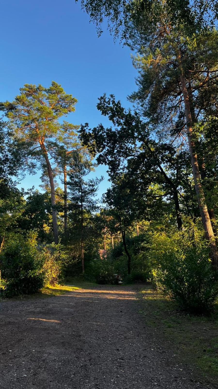 Vakantiehuis Vliegend Hert Veluwe Nunspeet Eksteriør billede