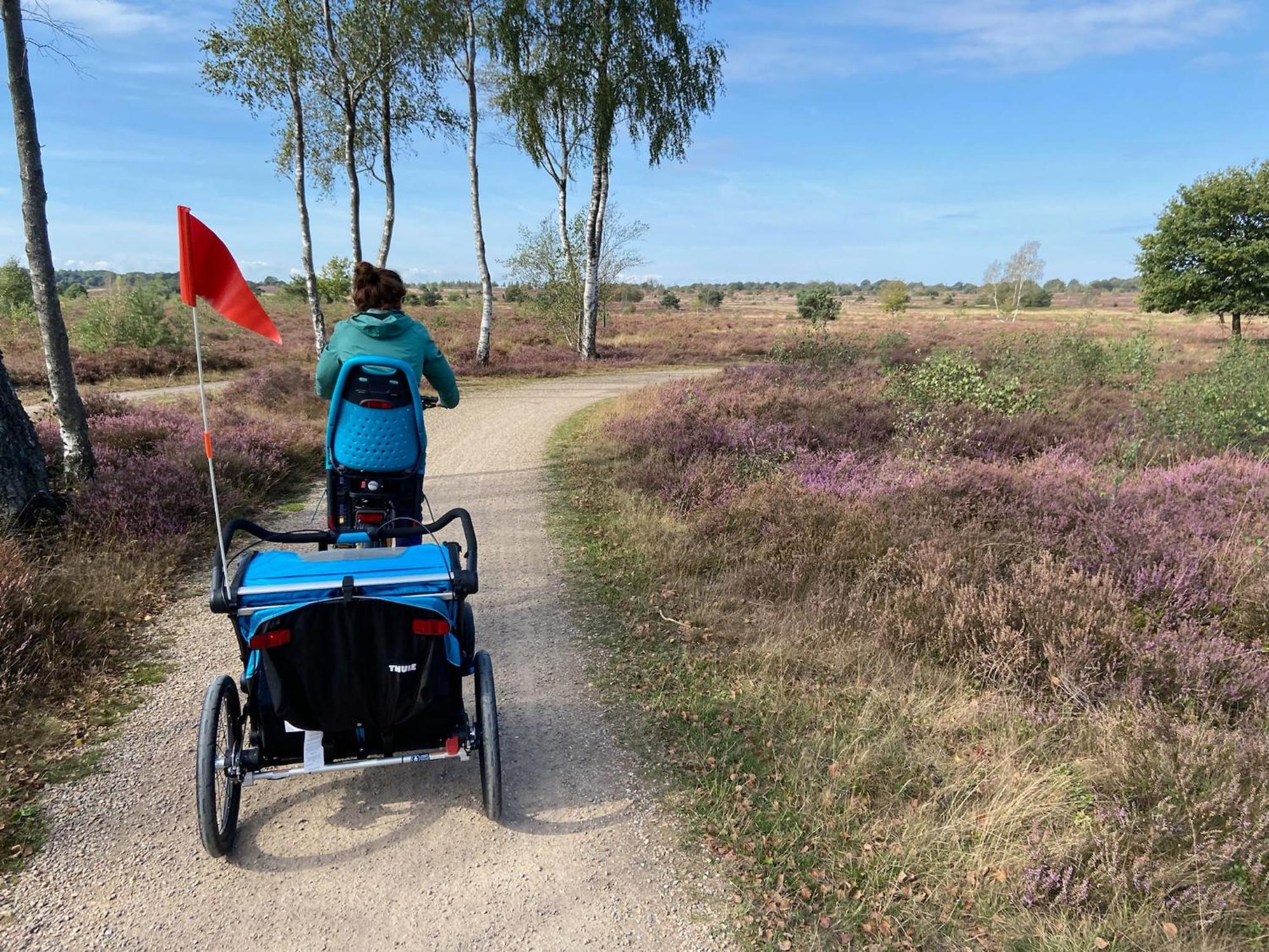Vakantiehuis Vliegend Hert Veluwe Nunspeet Eksteriør billede