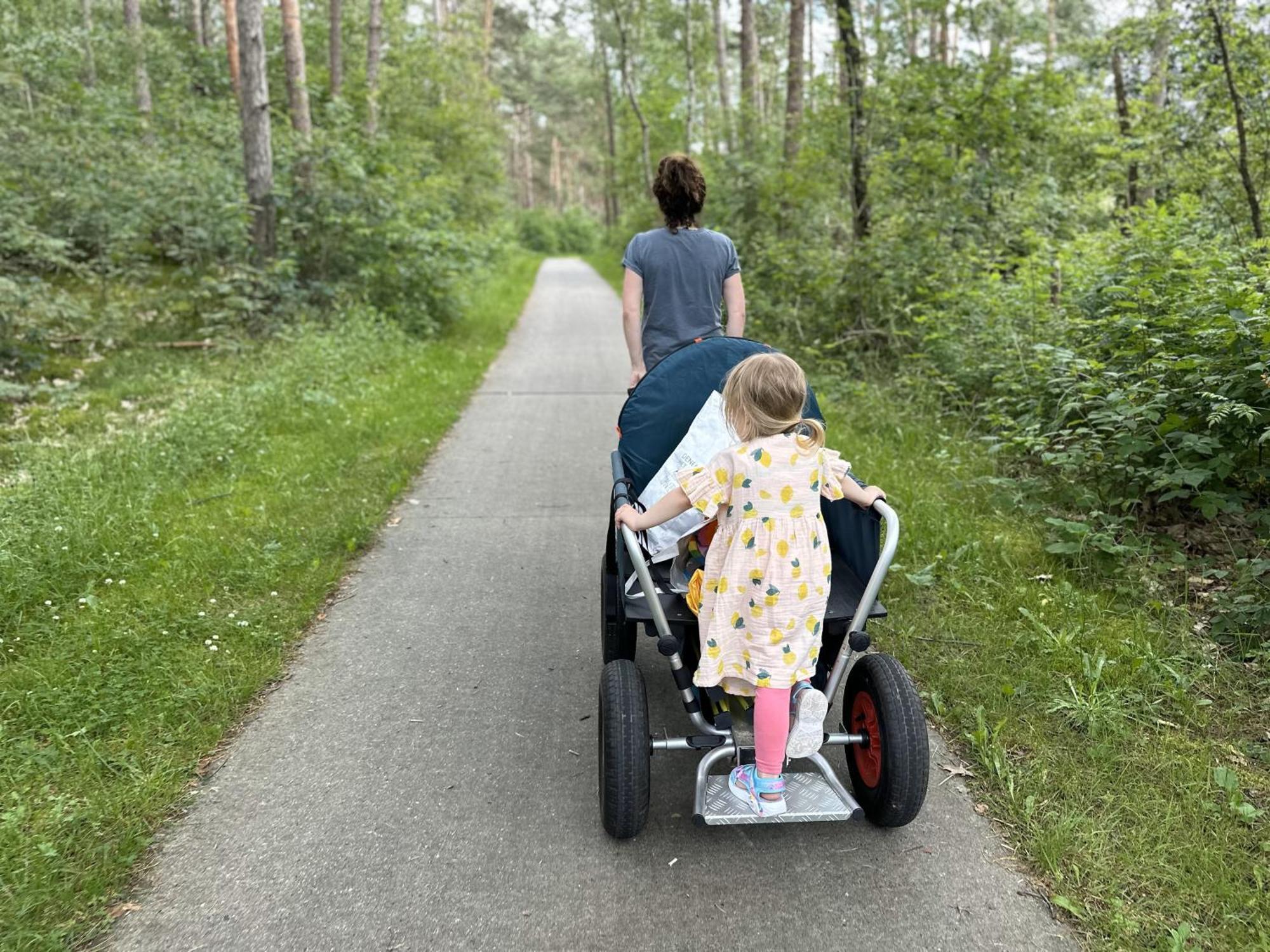 Vakantiehuis Vliegend Hert Veluwe Nunspeet Eksteriør billede